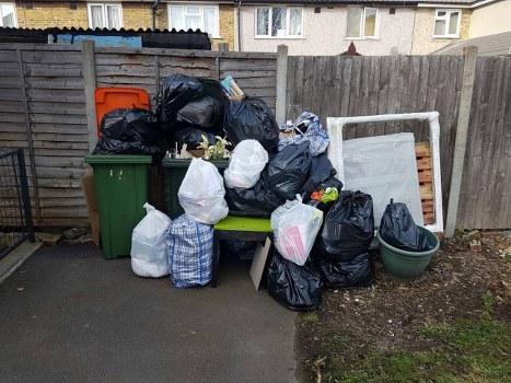 Professionals conducting garden clearance in a London garden