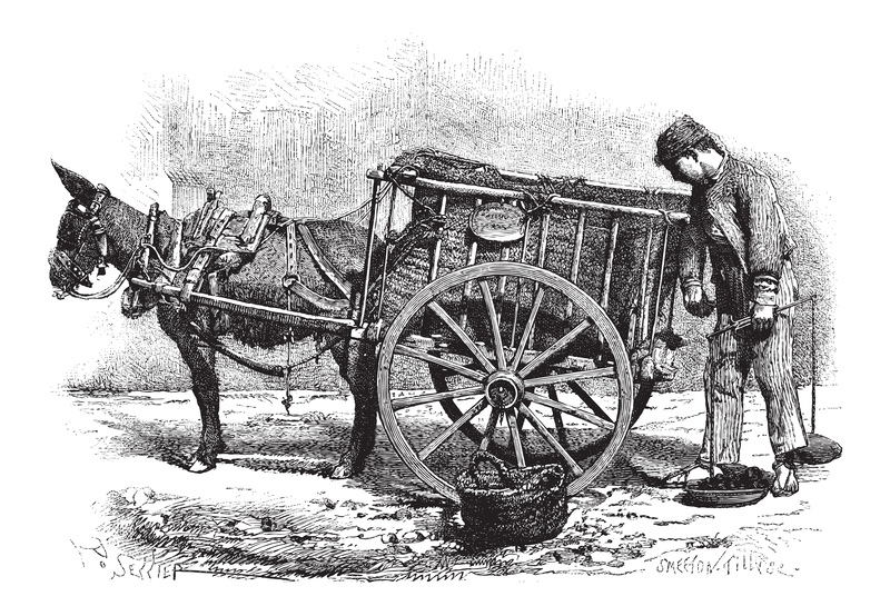 waste disposal waste collection